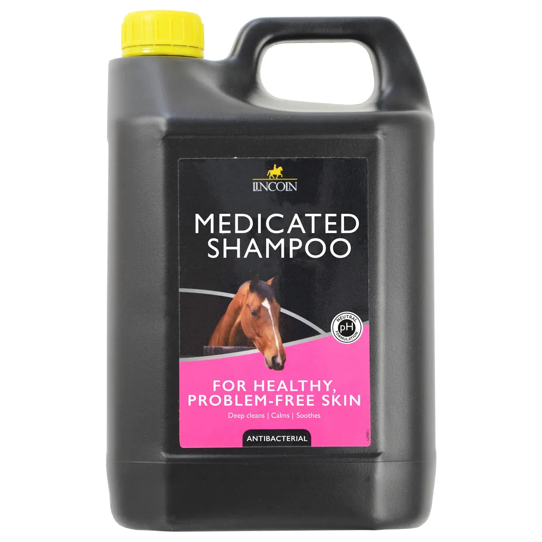 Lincoln Medicated Shampoo